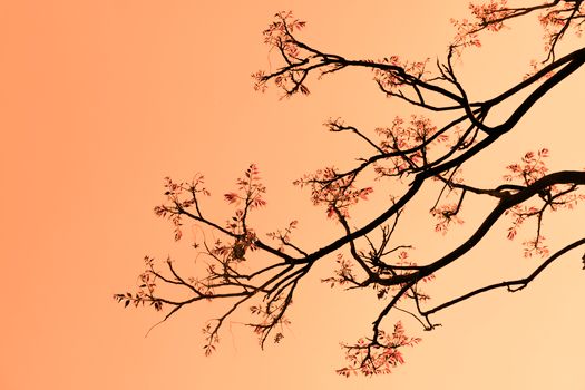 Parallel agent workflow with Git worktrees managing isolated development environments